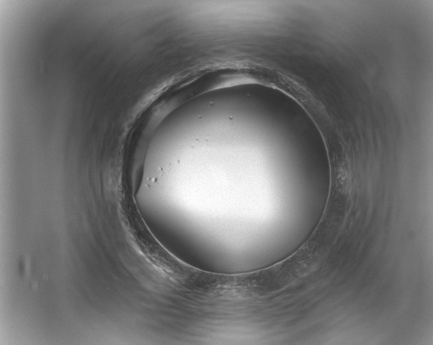 X0000067510732200604071251