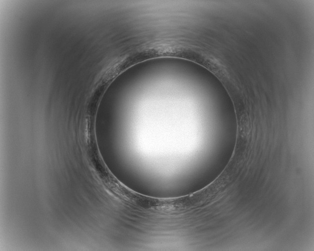 X0000067510740200604071251