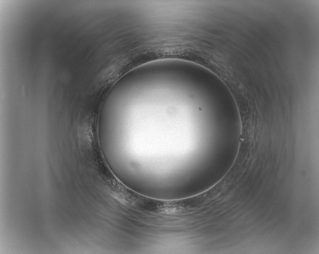 X0000067510746200604071252