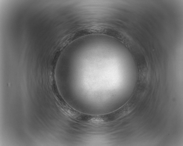 X0000067510749200604071252