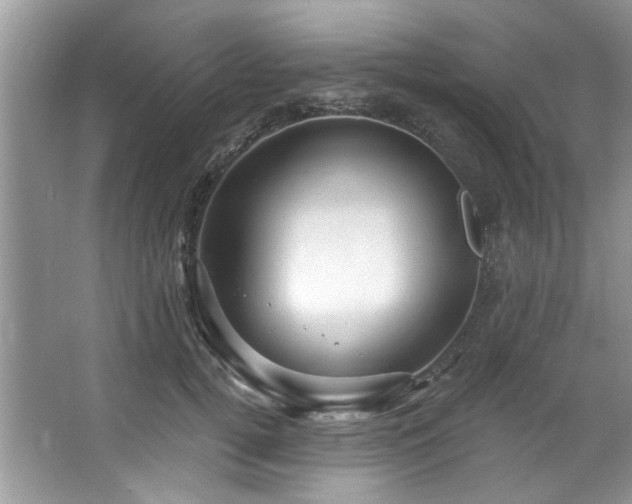 X0000067510752200604071252