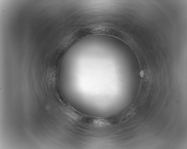 X0000067510753200604071252