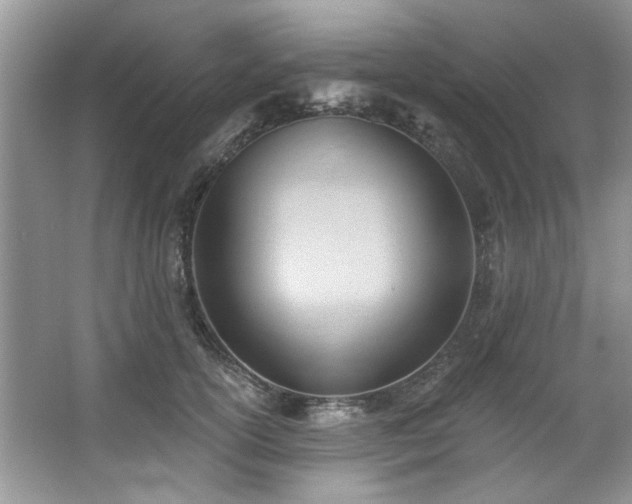 X0000067510754200604071252