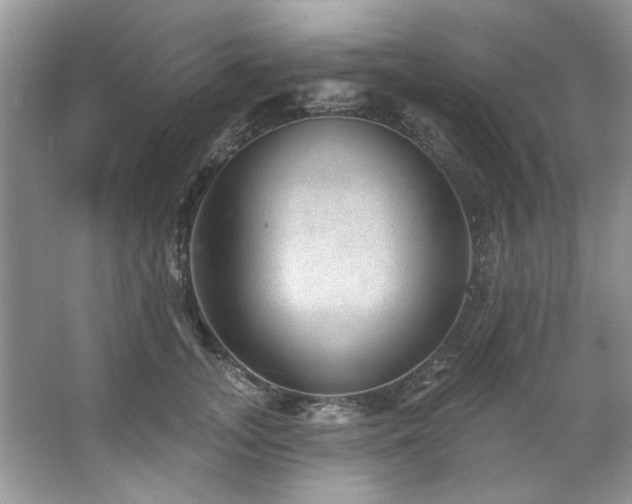 X0000067510755200604071252