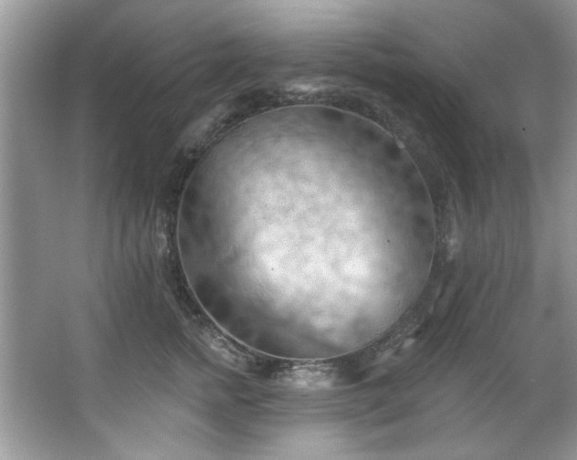 X0000067510758200604071252