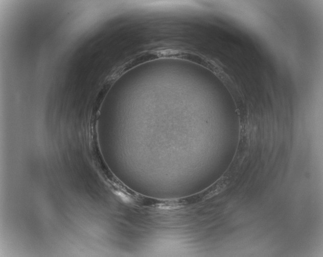 X0000067510763200604071252
