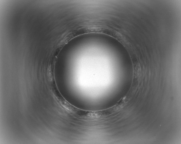 X0000067510764200604071252