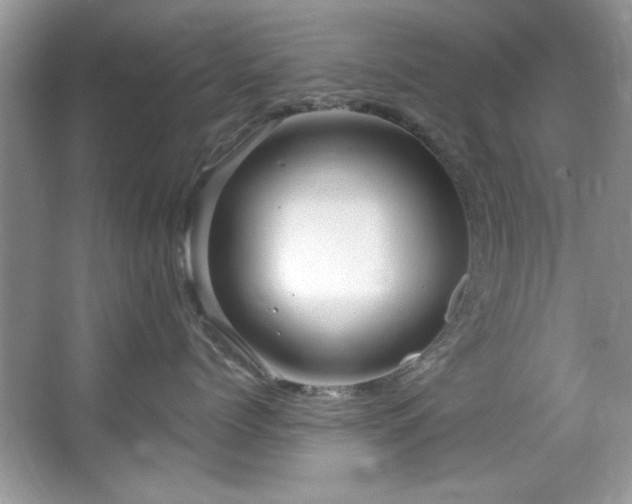 X0000067510768200604071252