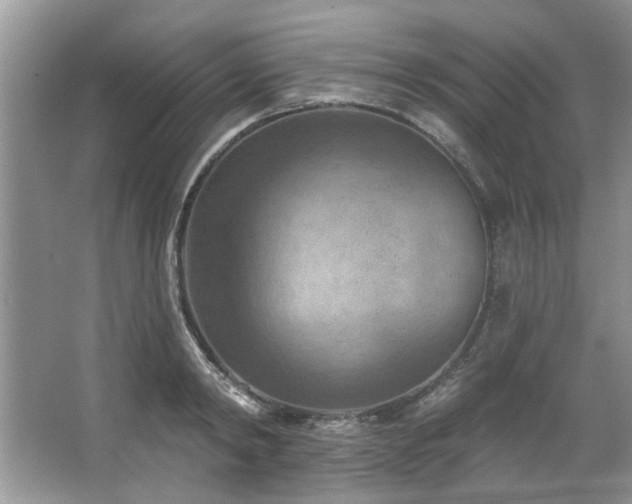 X0000067510798200604071251