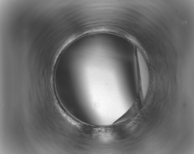 X0000067510805200604071251