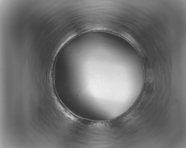 X0000067510806200604071250