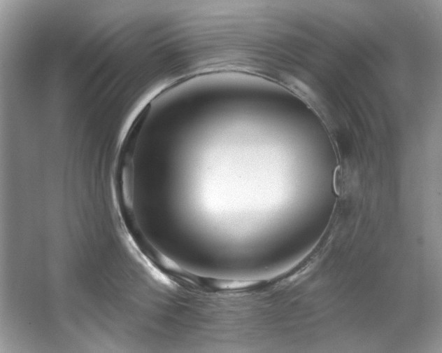 X0000067510812200604071250