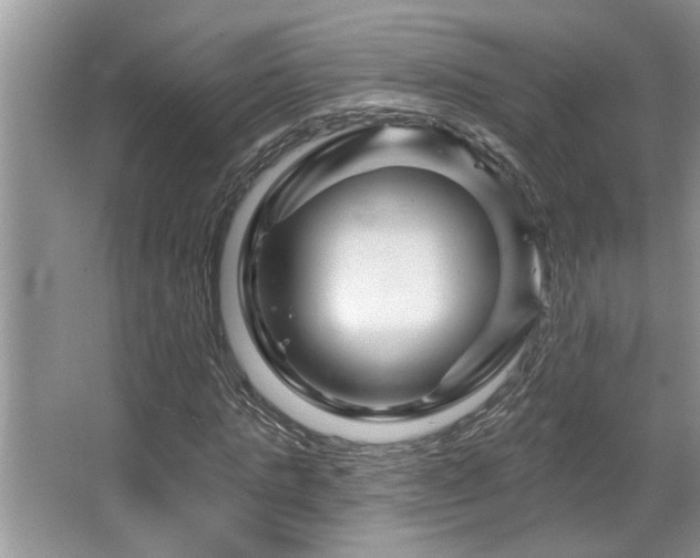 X0000067510821200604071250
