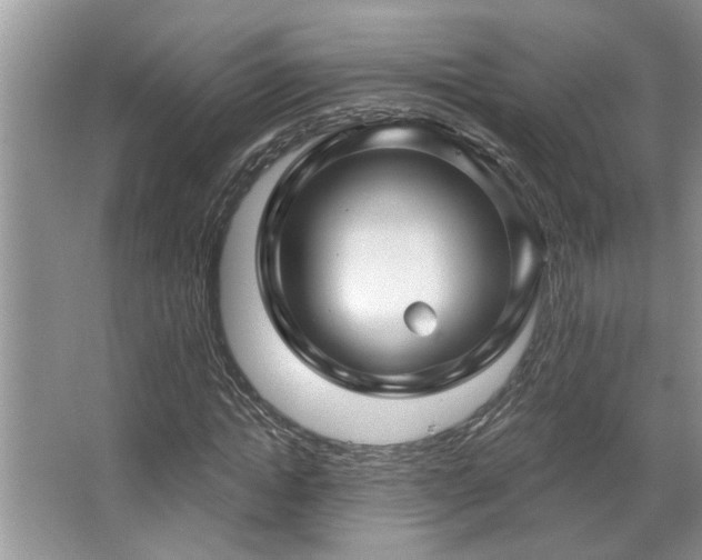 X0000067510822200604071250