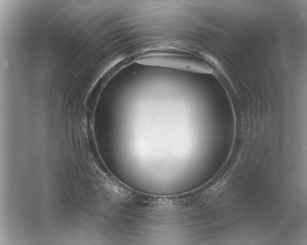 X0000067510827200604071250