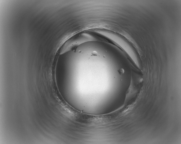 X0000067510834200604071250
