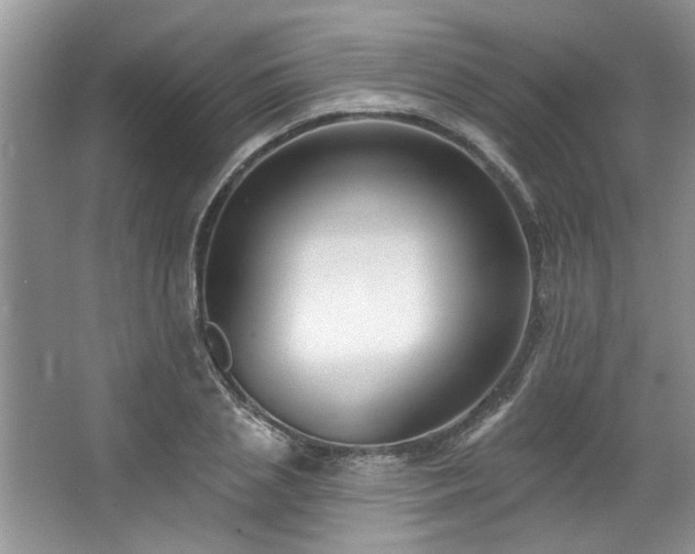 X0000067510837200604071250
