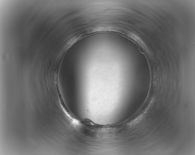 X0000067510849200604071250