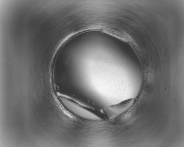 X0000067510854200604071250