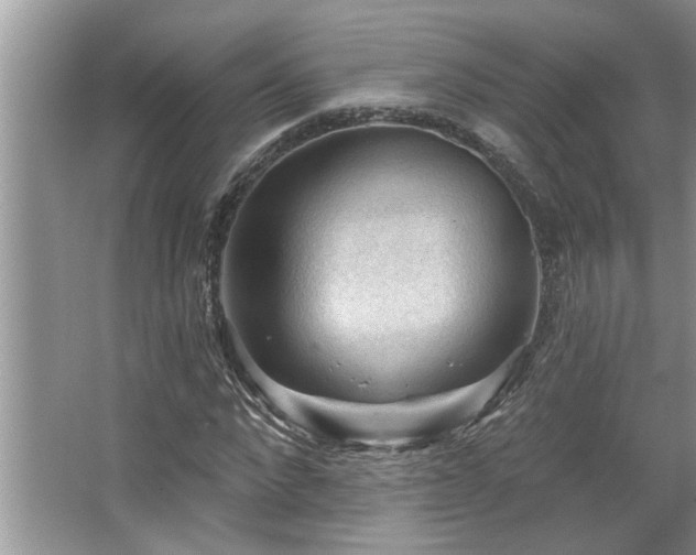 X0000067510872200604071249