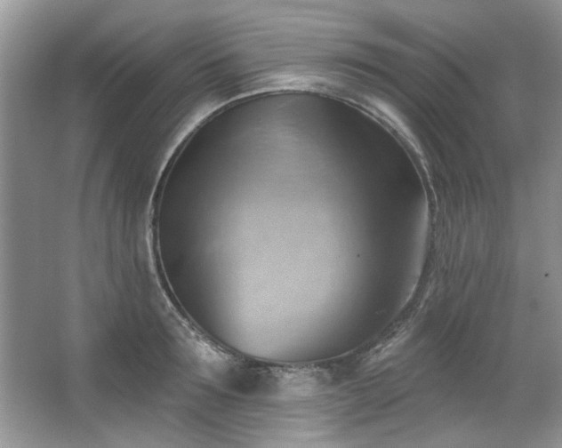 X0000067510899200604071249