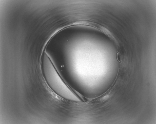 X0000067510908200604071249