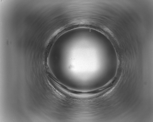 X0000067510922200604071248