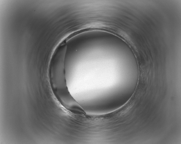 X0000067510939200604071248