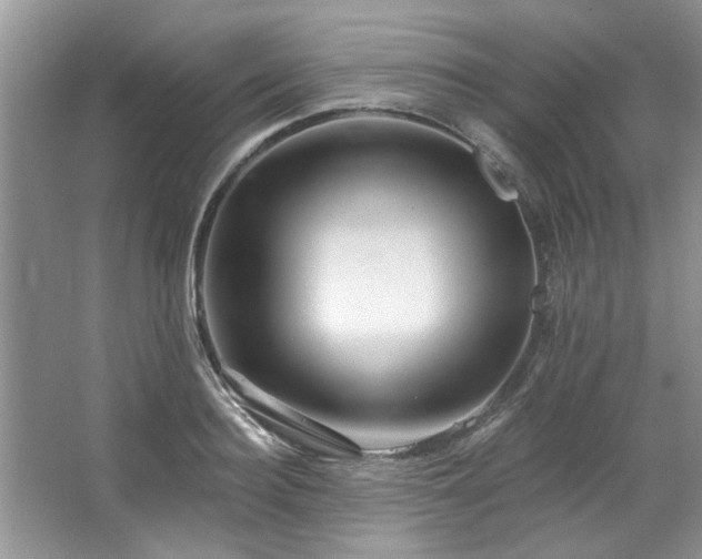 X0000067510940200604071248