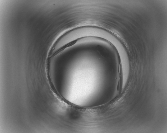X0000067510942200604071248
