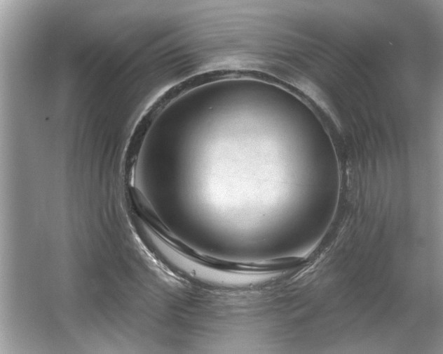 X0000067510972200604071248