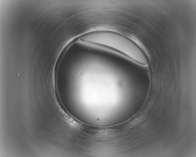X0000067510988200604071247