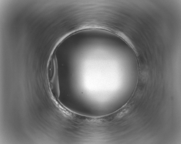 X0000067511004200604071247