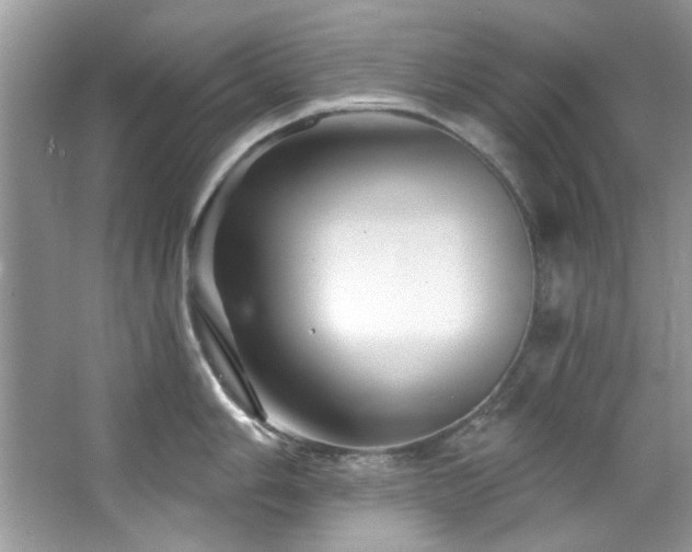 X0000067511006200604071247