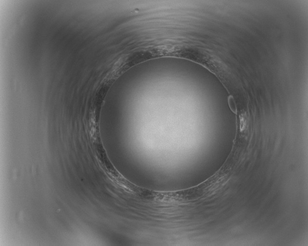 X0000067511011200604071246
