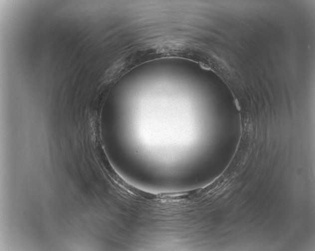 X0000067511012200604071246