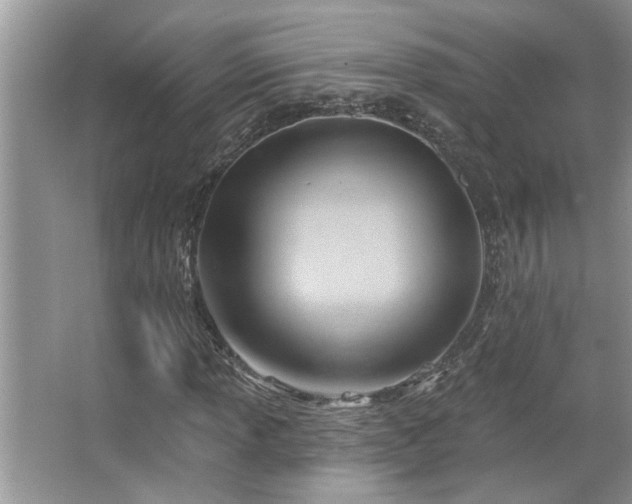 X0000067511013200604071246