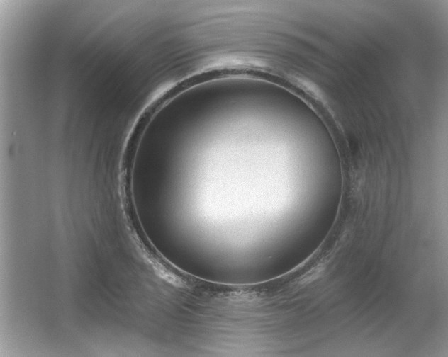 X0000067511029200604071247