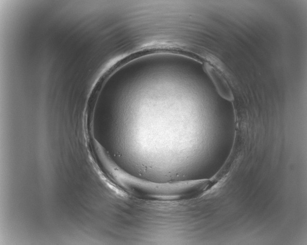 X0000067511030200604071247