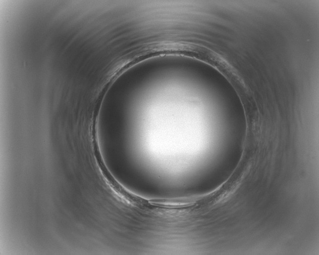 X0000067511033200604071247