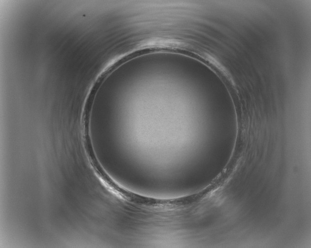 X0000067511037200604071247