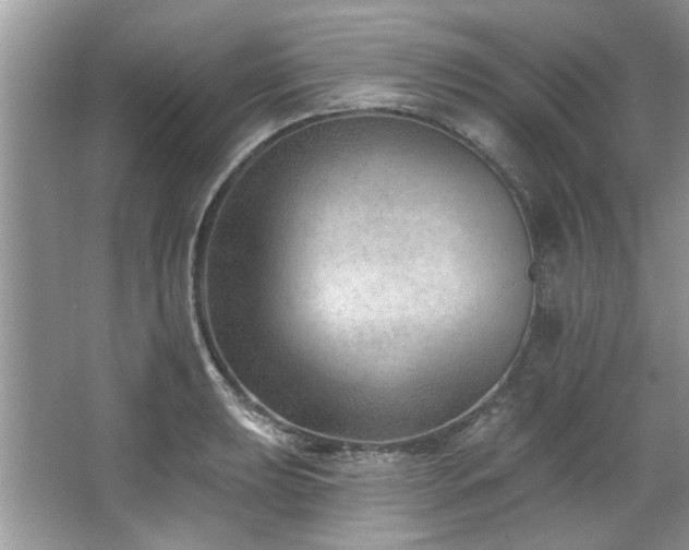 X0000067511039200604071247