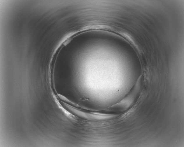 X0000067511046200604071247