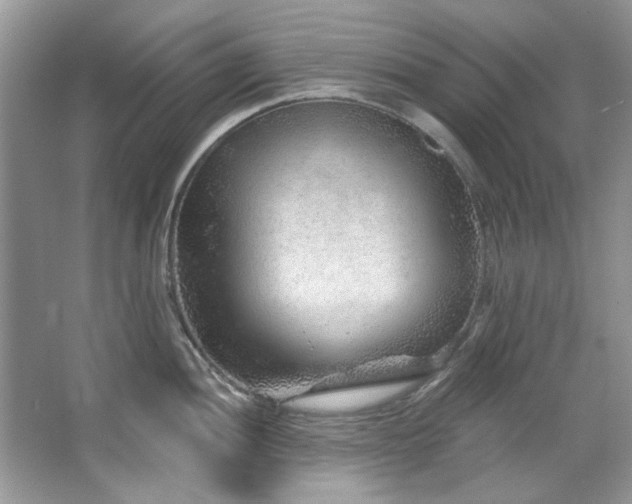 X0000067511052200604071247
