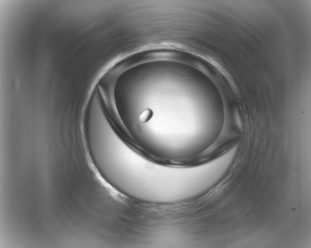 X0000067511054200604071247