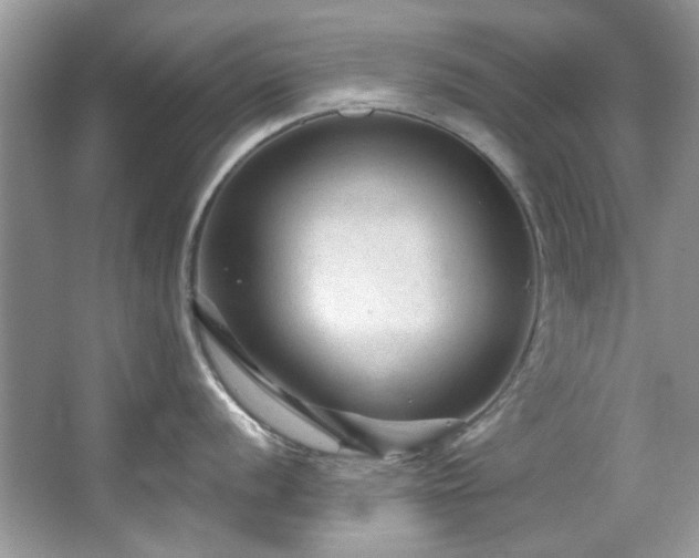 X0000067511056200604071247