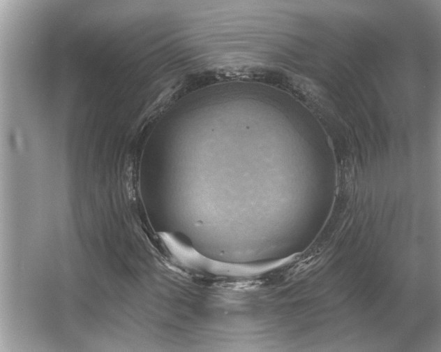 X0000067511060200604071246