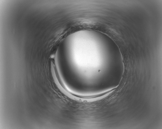 X0000067511061200604071246