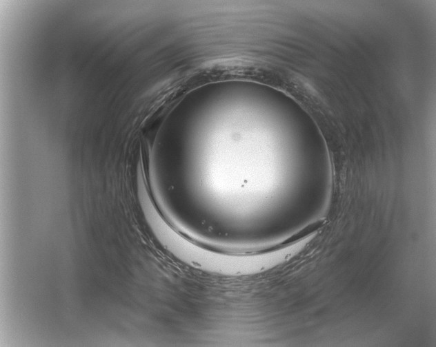 X0000067511062200604071246