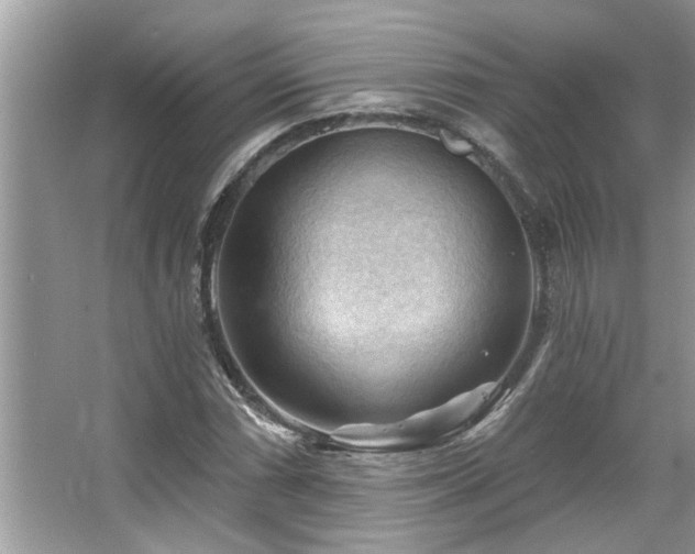 X0000067511066200604071246